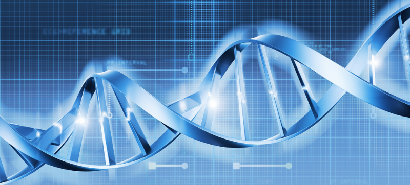 Illustration for article titled DNA Repair Earned the Nobel Prize in Chemistry, and Here's Why
